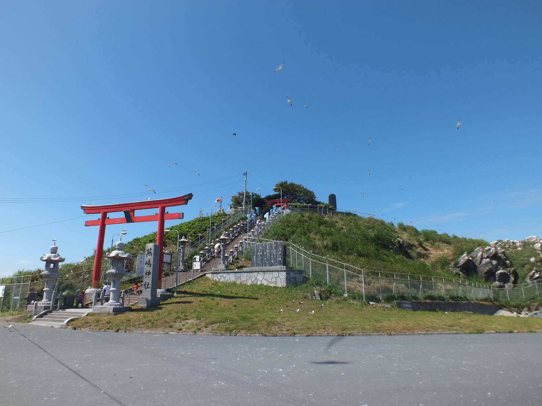 蕪島ウミネコ繁殖地