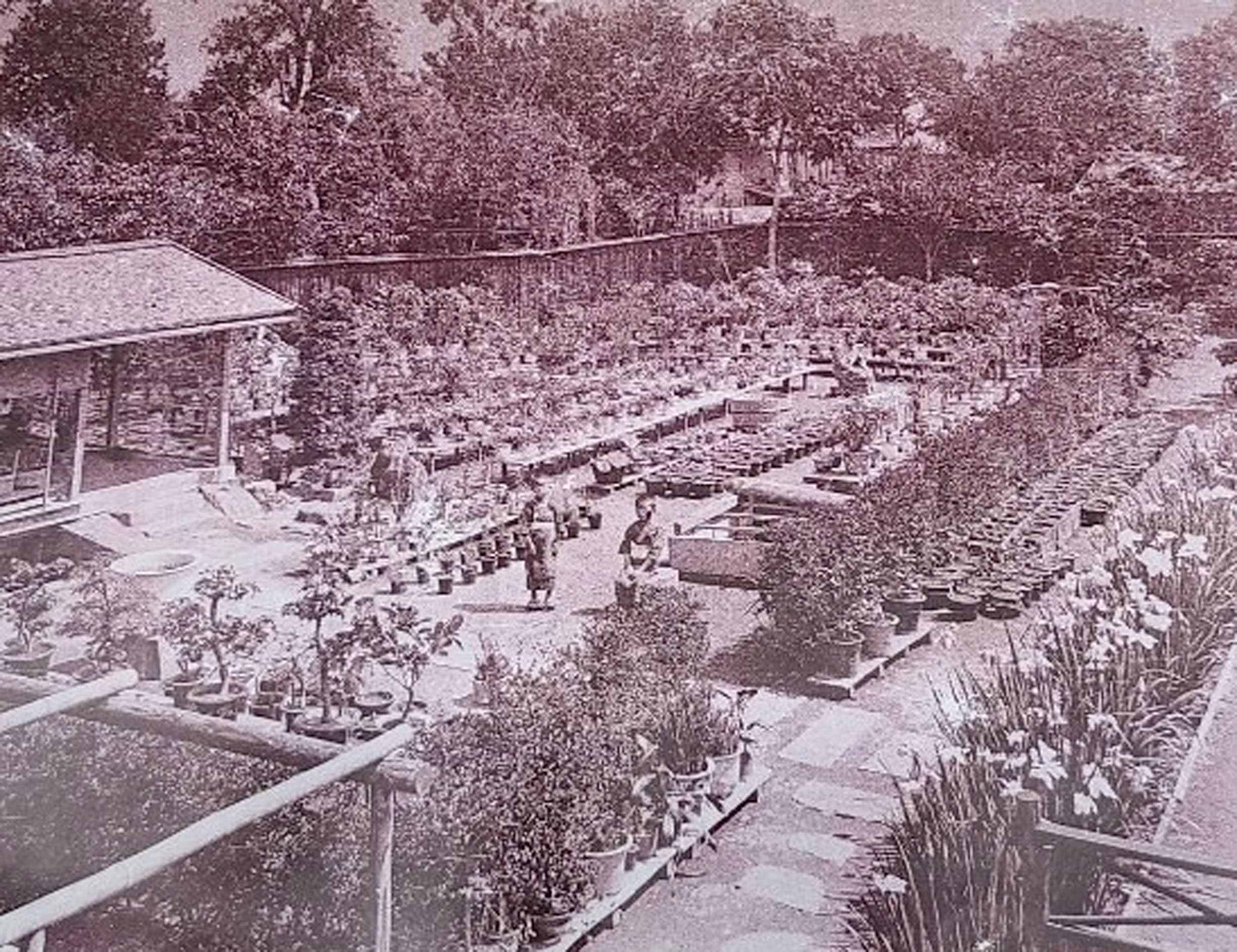 八戸出身　香月園（株）専務　橋本修さん　７０代の写真2