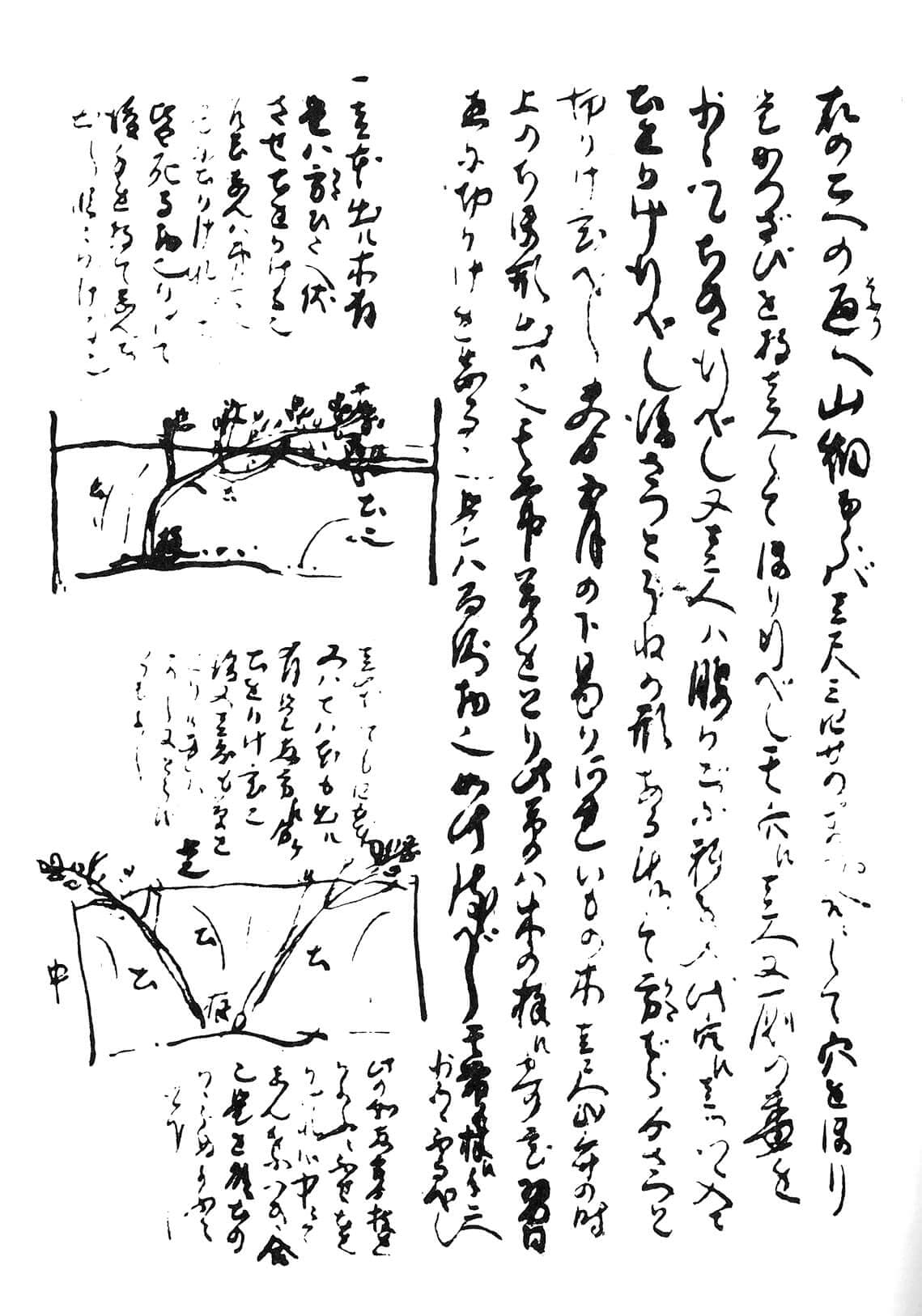 ジャガイモ作付け絵図『天保三辰ヨリ七ヶ年凶作日記(内題「市川日記」)』より