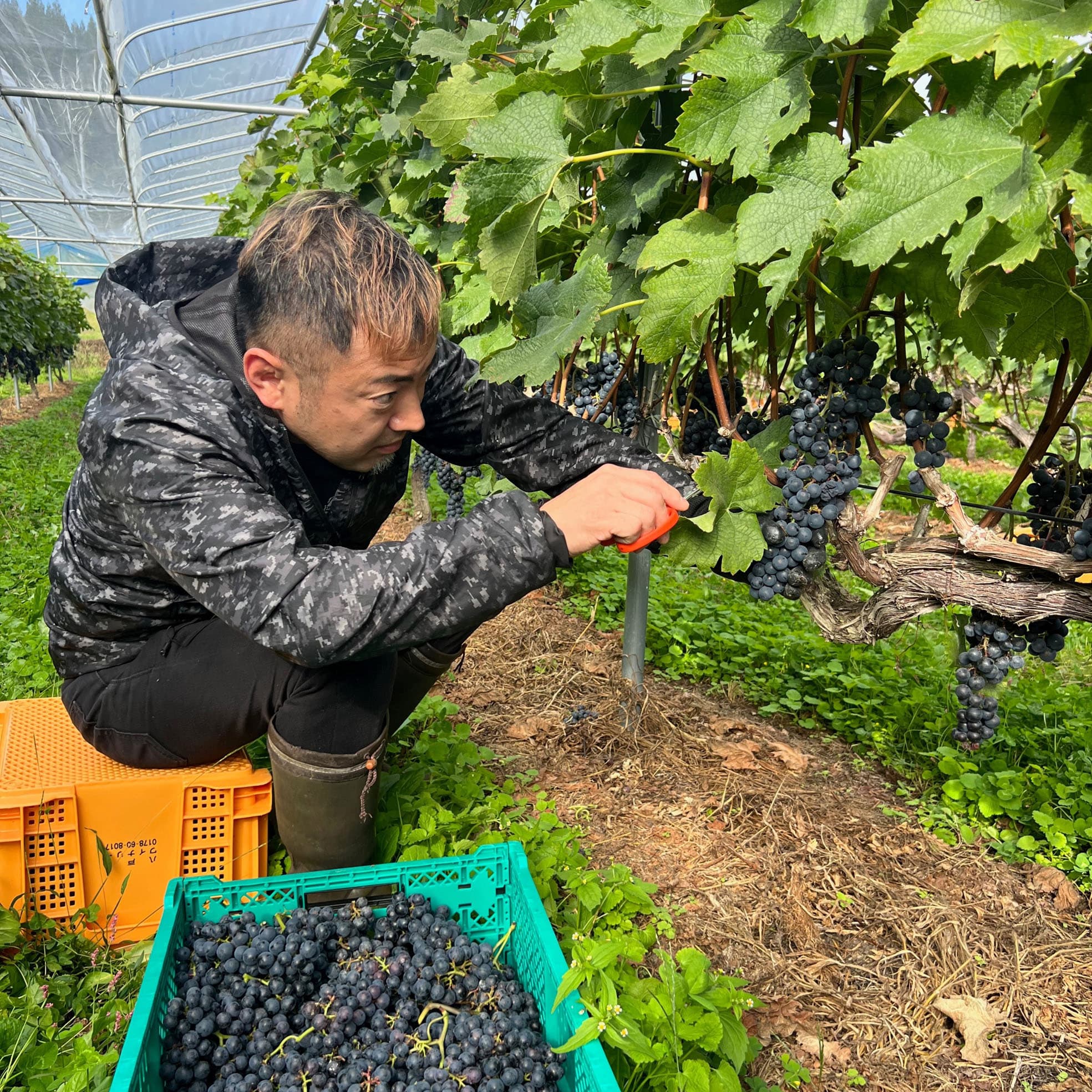 八戸市出身　澤内醸造　醸造長＆ブロンズグリル代表　澤内昭宏さん　40代の写真2