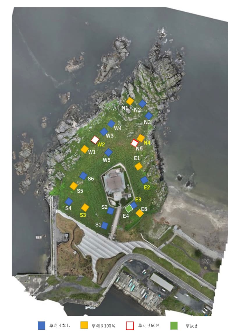 図2-2 調査区位置