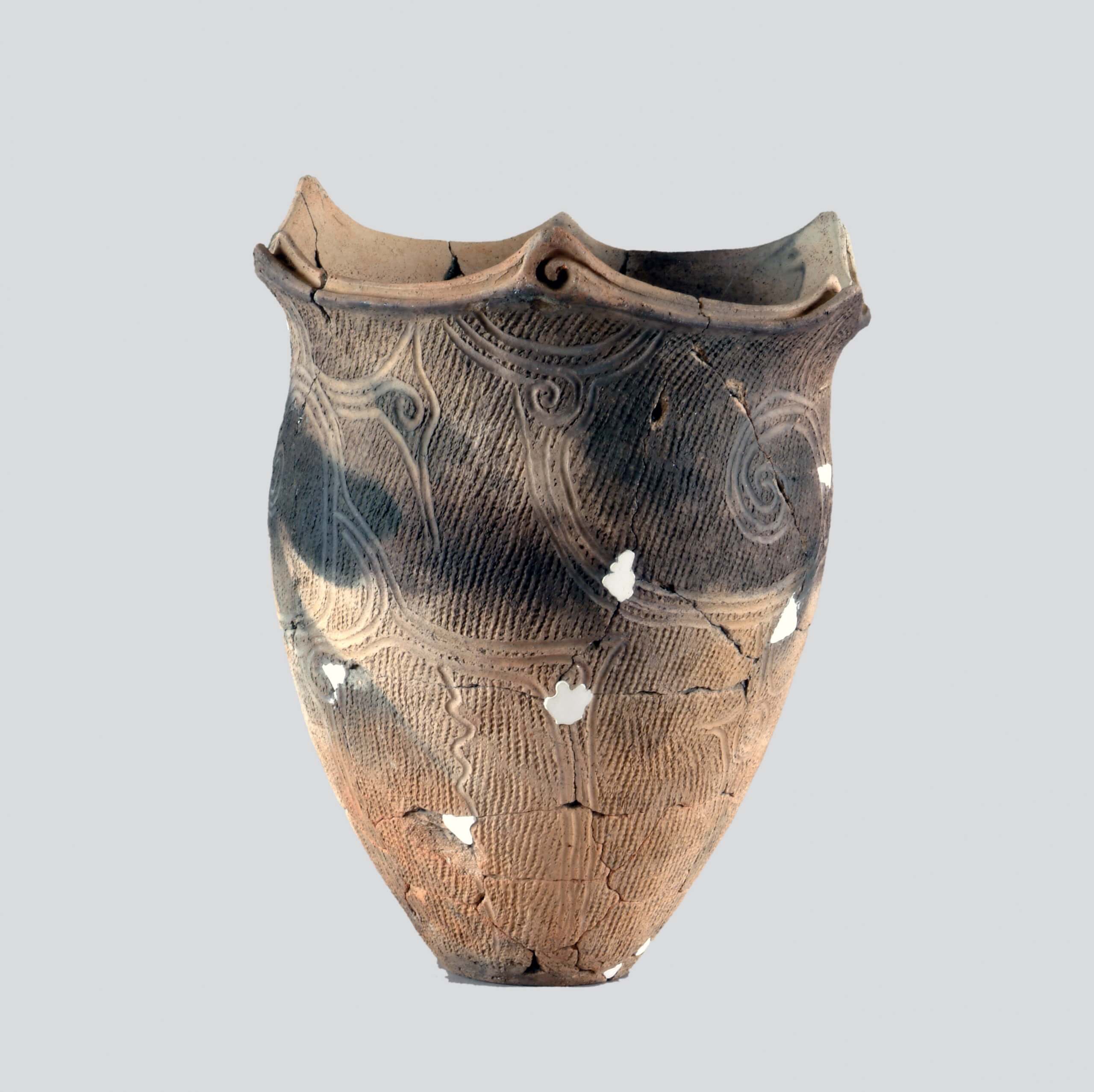 榎林式土器(松ヶ崎遺跡出土)｜はちのへヒストリア